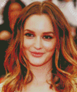 Aesthetic Leighton Meester Diamond Painting