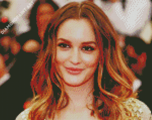 Aesthetic Leighton Meester Diamond Painting