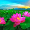 Aesthetic Lotus Blossom Diamond Painting