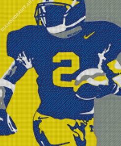 Aesthetic Michigan Wolverine Diamond Painting