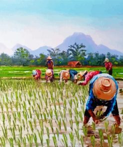 Aesthetic Rice Field Diamond Painting