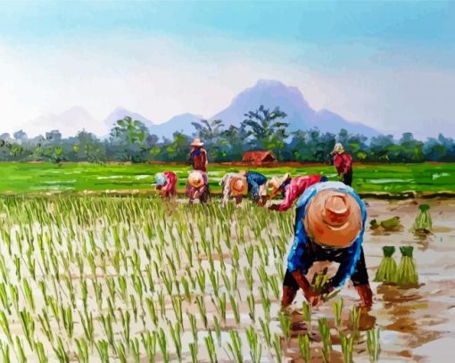 Aesthetic Rice Field Diamond Painting