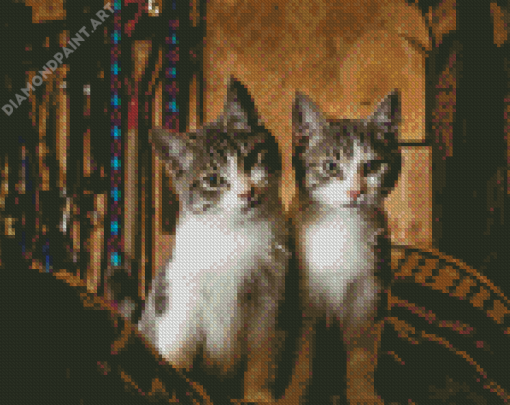 Aesthetic Two Kitties Diamond Painting