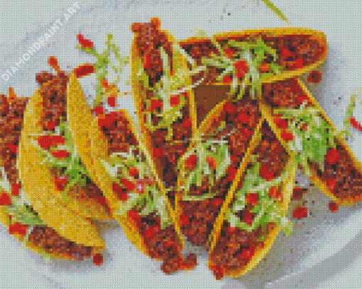 Aesthetic Beef Tacos Diamond Painting