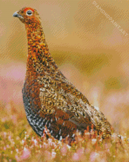 Aesthetic Grouse Bird Diamond Painting