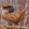 Aesthetic Grouse Bird Diamond Painting