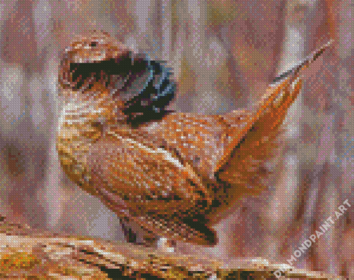 Aesthetic Grouse Bird Diamond Painting