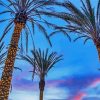 Aesthetic Palm Trees In California Diamond Painting