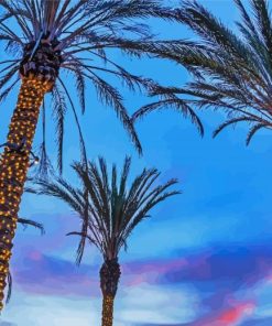 Aesthetic Palm Trees In California Diamond Painting