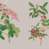 Aesthetic Plants Botanical Diamond Painting