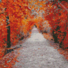 Aesthetic Walk In Autumn Diamond Painting