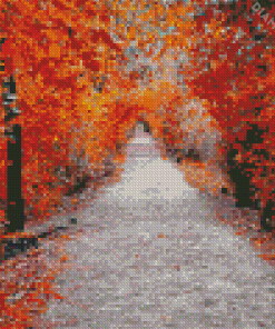 Aesthetic Walk In Autumn Diamond Painting