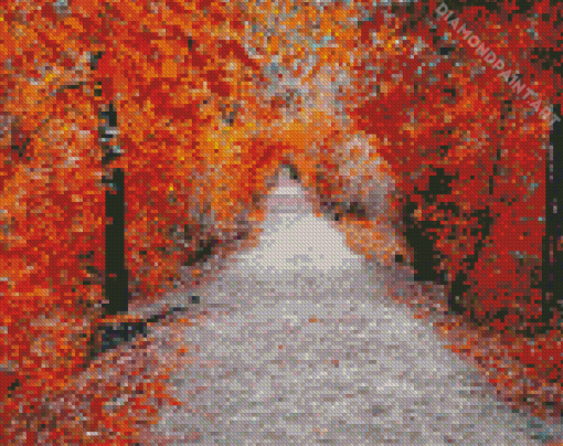 Aesthetic Walk In Autumn Diamond Painting