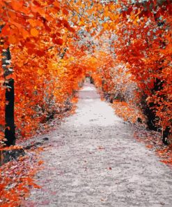 Aesthetic Walk In Autumn Diamond Painting