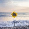 Beach Sunflower Wave Seaside Diamond Painting