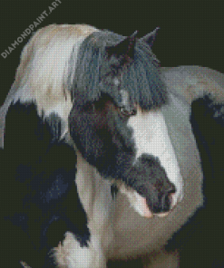 Beautiful Cob Horse Diamond Painting