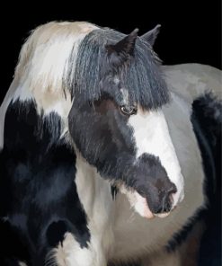 Beautiful Cob Horse Diamond Painting