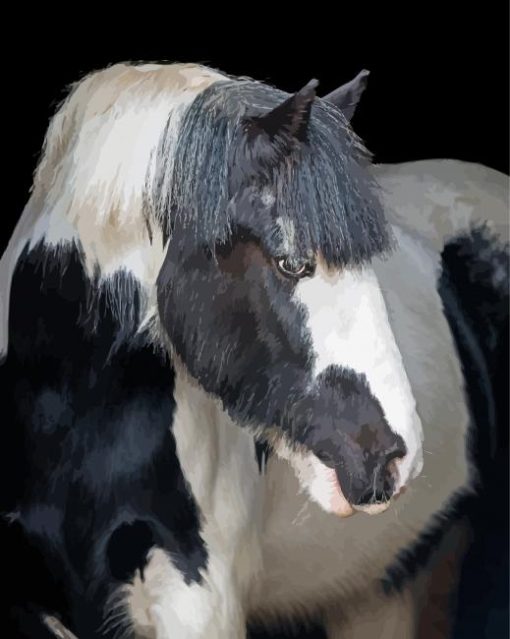 Beautiful Cob Horse Diamond Painting