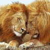 Beautiful Two Lions Diamond Painting