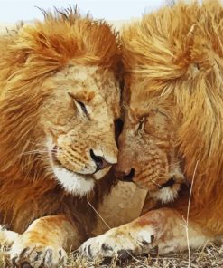 Beautiful Two Lions Diamond Painting