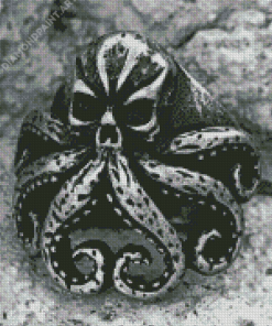 Black And White Octopus Skull Diamond Painting