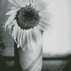 Black And White Sunflower In A Vase Diamond Painting