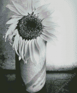 Black And White Sunflower In A Vase Diamond Painting