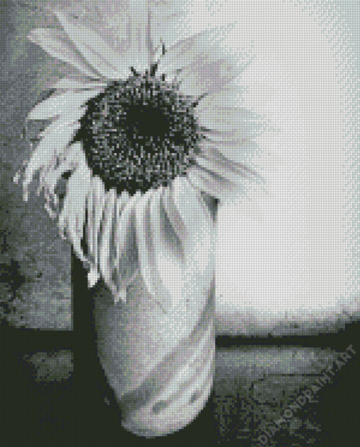 Black And White Sunflower In A Vase Diamond Painting