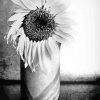 Black And White Sunflower In A Vase Diamond Painting