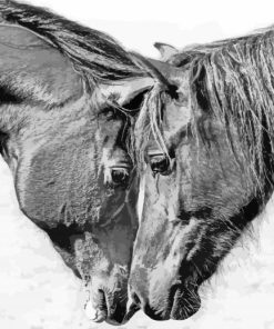 Black And White Cob Horses Diamond Painting