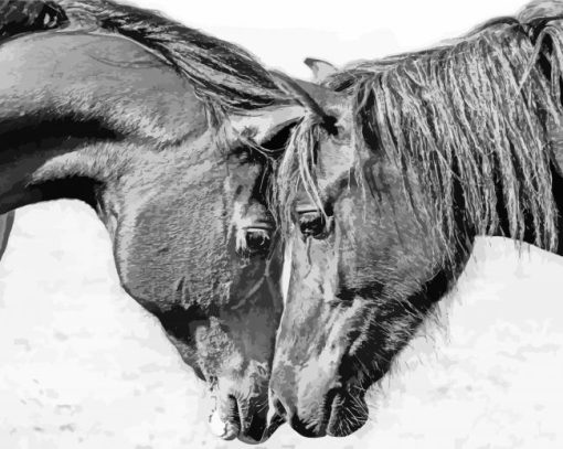 Black And White Cob Horses Diamond Painting