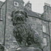 Black And White Greyfriars Bobby Diamond Painting