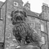 Black And White Greyfriars Bobby Diamond Painting