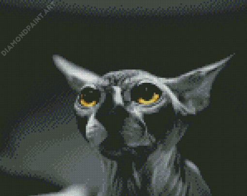 Black And White Hairless Cat Diamond Painting