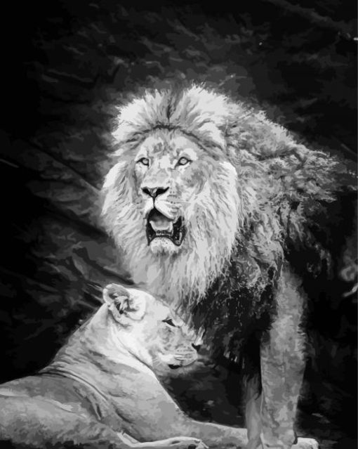 Black And White Lion And Lioness Diamond Painting