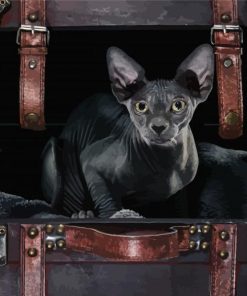 Black Hairless Cat Diamond Painting