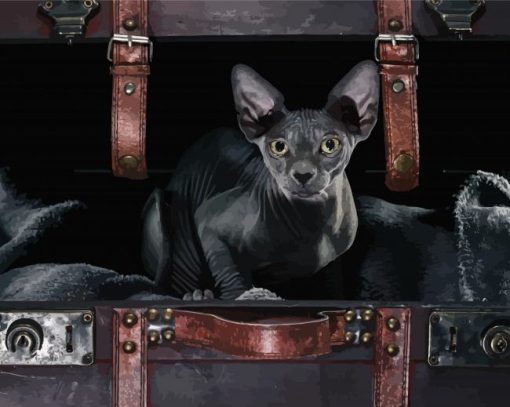 Black Hairless Cat Diamond Painting