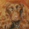 Brown Boykin Spaniel Dog Diamond Painting