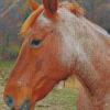 Brown Cob Horse Animal Diamond Painting