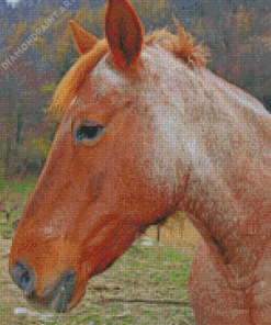 Brown Cob Horse Animal Diamond Painting