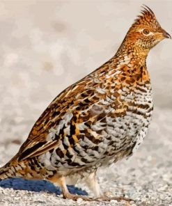 Brown Grouse Diamond Painting