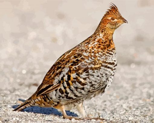 Brown Grouse Diamond Painting