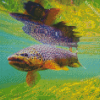 Brown Trout Under Sea Diamond Painting