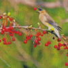 Cedar Tree With Bird Diamond Painting