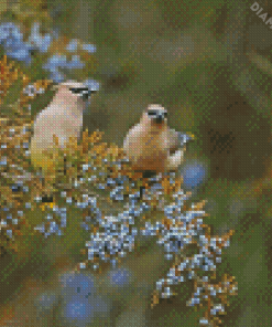 Cedar Tree With Birds Diamond Painting