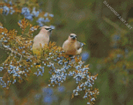 Cedar Tree With Birds Diamond Painting