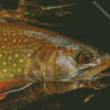 Close Up Brown Trout Diamond Painting