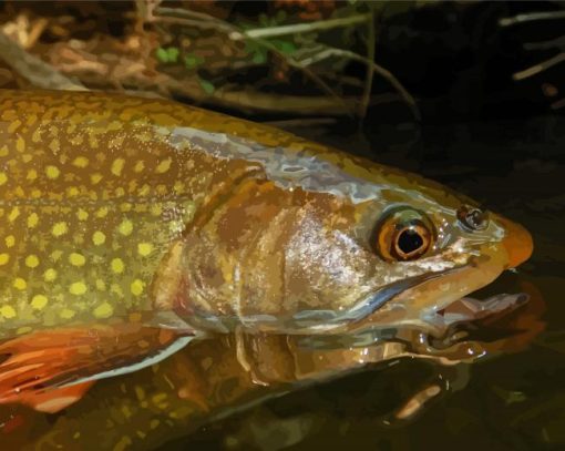 Close Up Brown Trout Diamond Painting