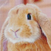 Cute Brown Female Bunny Diamond Painting