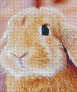 Cute Brown Female Bunny Diamond Painting